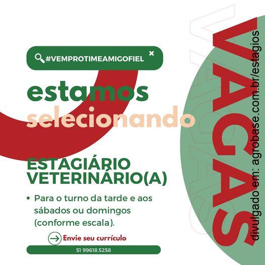 Estagiário medicina veterinária – Viamão/RS