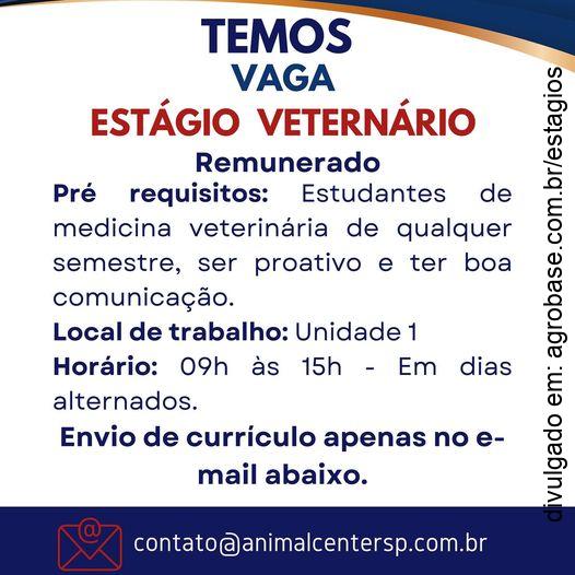 Estágio em medicina veterinária – São Paulo/SP