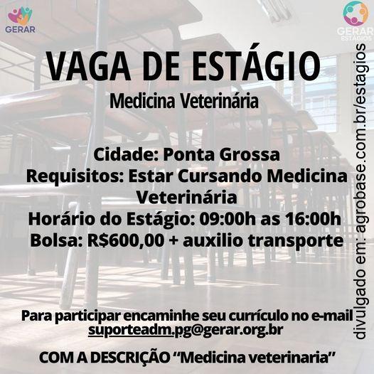 Estágio em med. veterinária – Ponta Grossa/PR