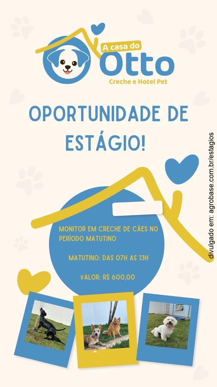 Estágio para monitor em creche de cães – Campo Grande/MS