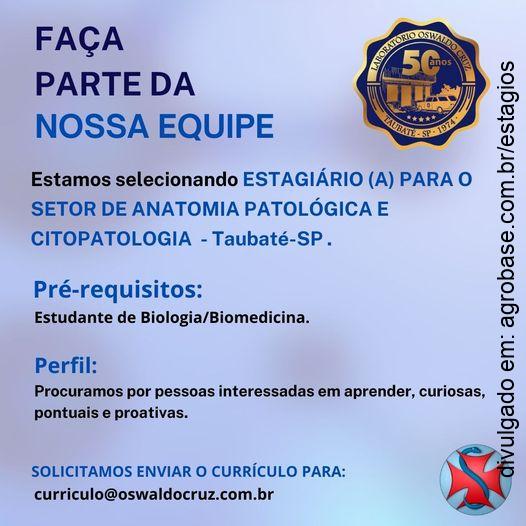 Estagiário(a) anatomia patológica e citopatologia – Taubaté/SP