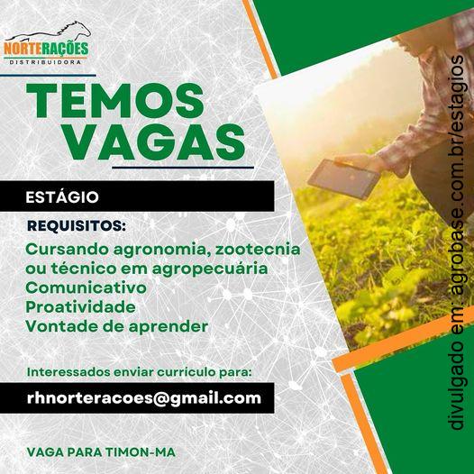 Estágio Distribuidora Norte Rações – Timon/MA