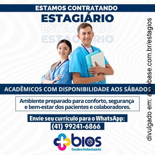 Programa de estágios para estudantes de veterinária – Curitiba/PR