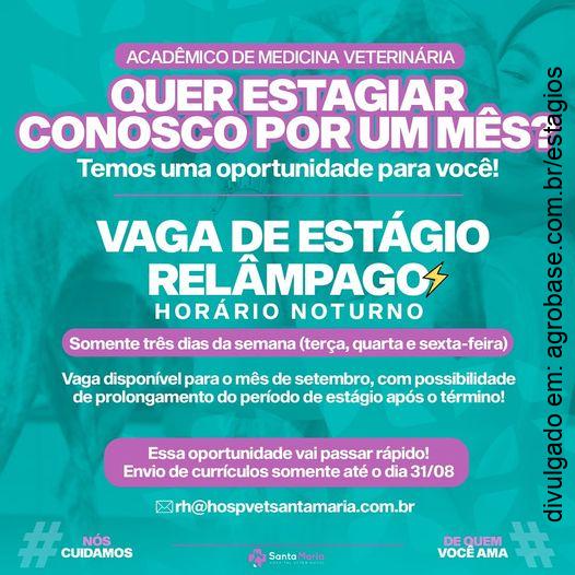 Estágio hospital veterinário – União da Vitória/PR