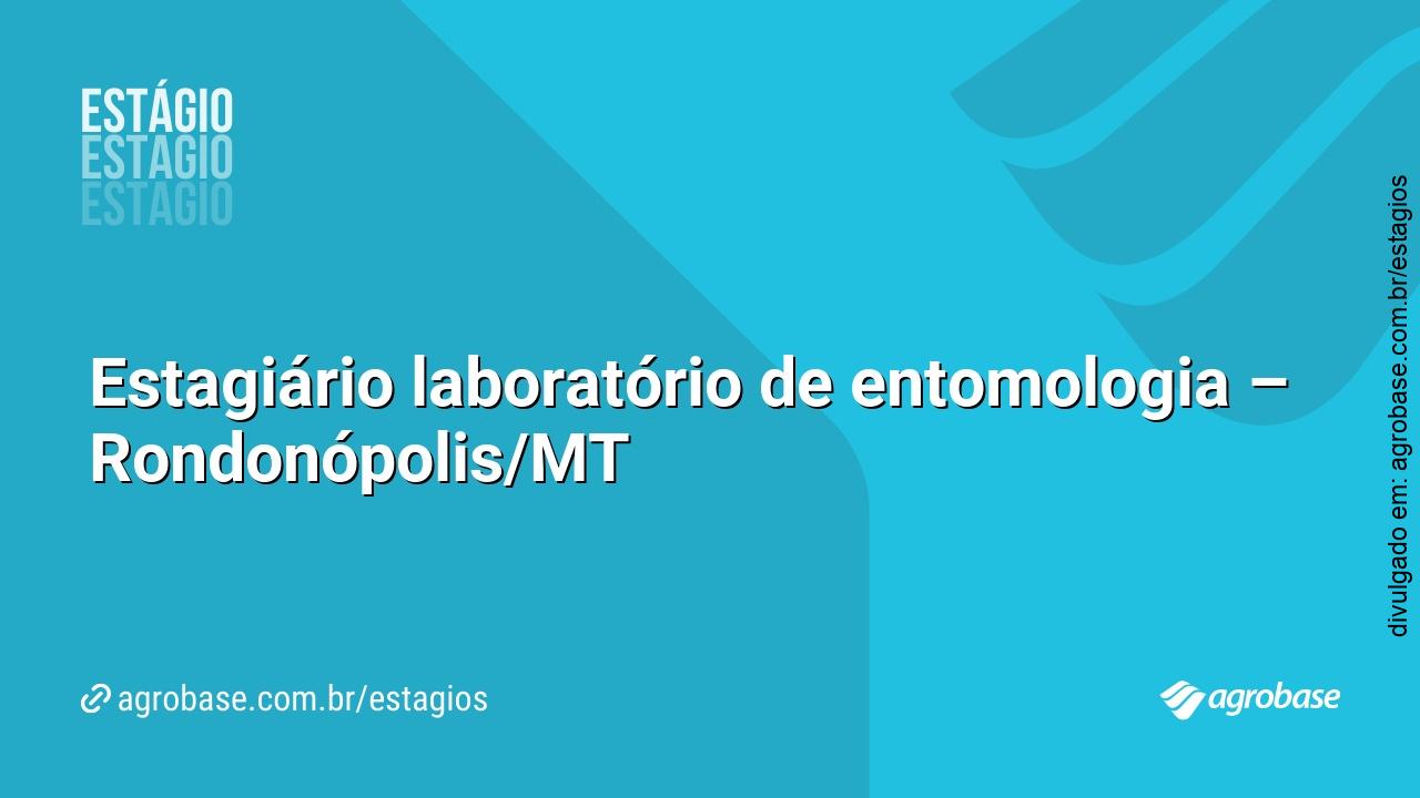 Estagiário laboratório de entomologia – Rondonópolis/MT