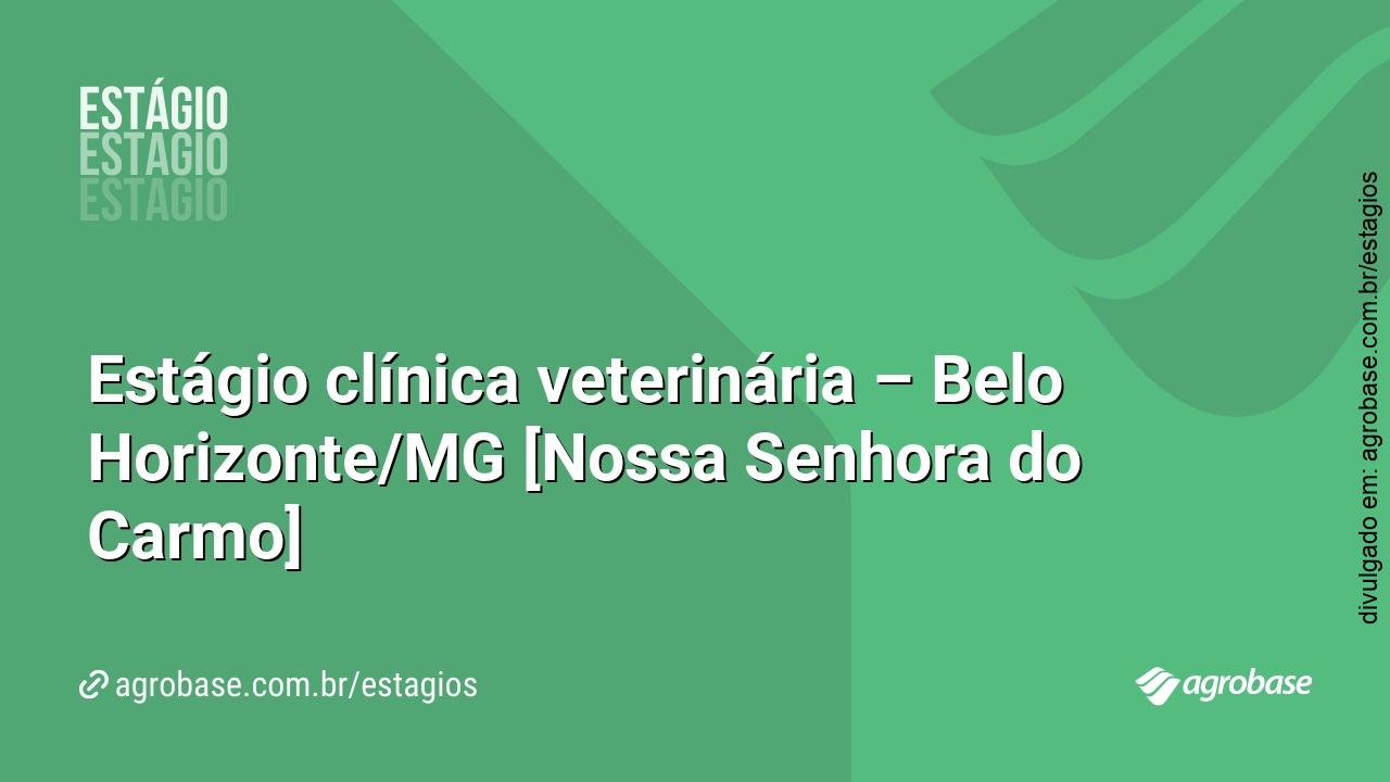 Estágio clínica veterinária – Belo Horizonte/MG [Nossa Senhora do Carmo]