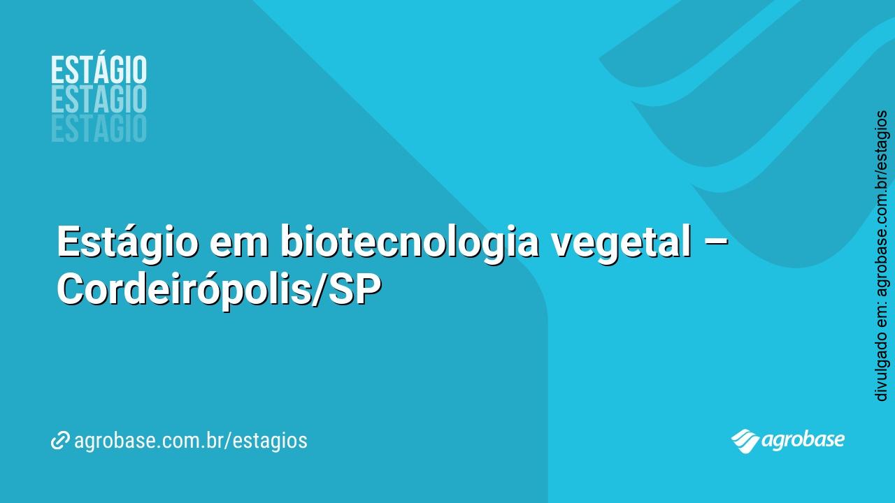 Estágio em biotecnologia vegetal – Cordeirópolis/SP