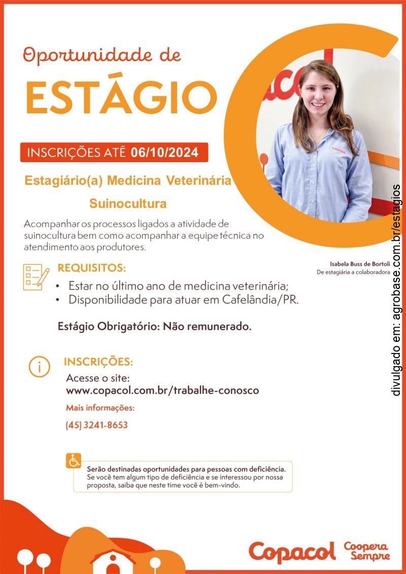 Estágio méd. veterinário suinocultura – Cafelândia/PR