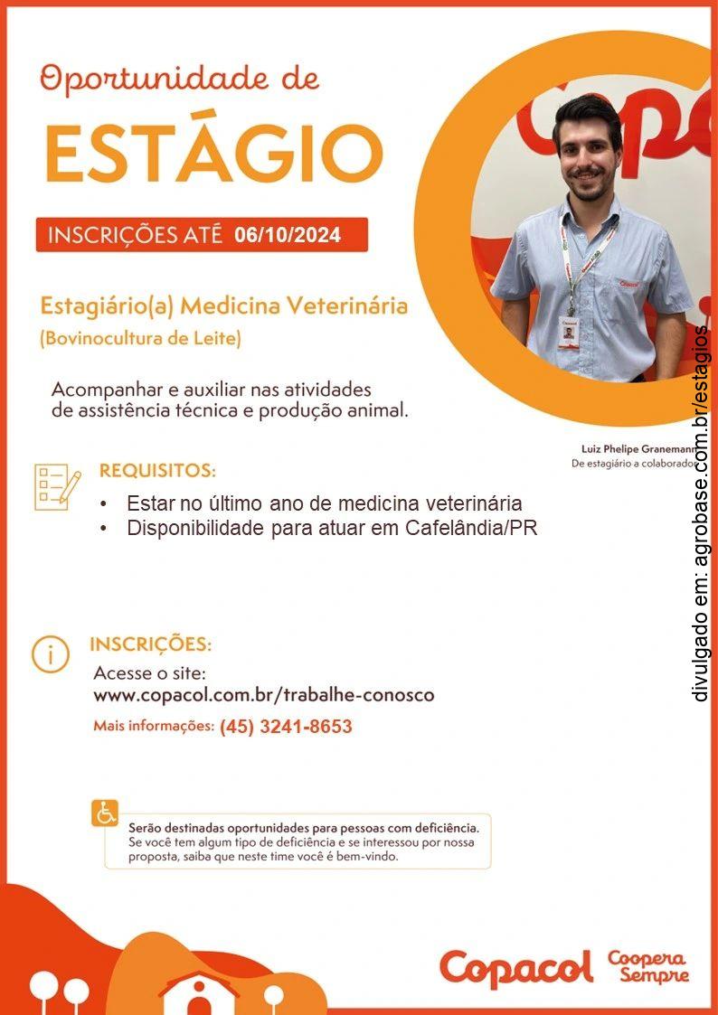 Estágio medicina veterinária (bovinocultura de leite) – Cafelândia/PR