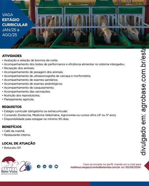 Estágio curricular com bovinos de corte – Botucatu/SP