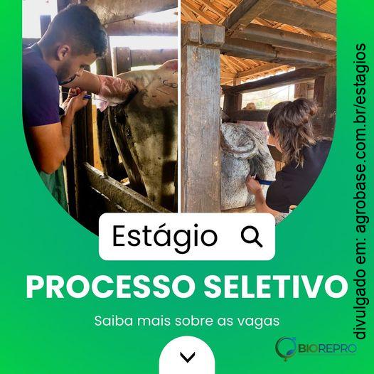Estágio para estudantes de med. veterinária e zootecnia