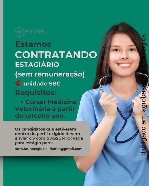 Estágio de medicina veterinária – São Bernardo do Campo/SP