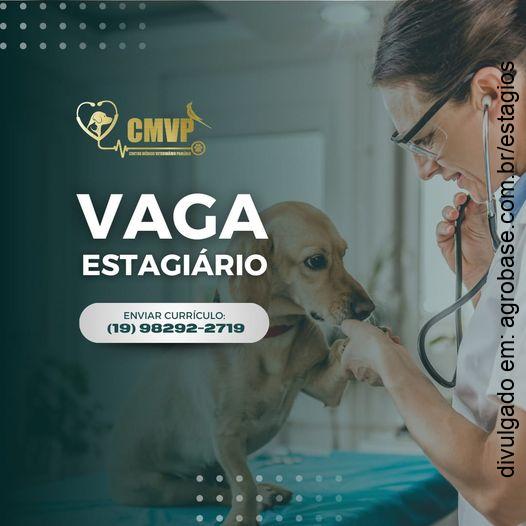 Estágio medicina veterinária – Paulínia/SP