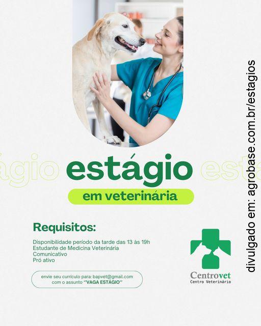 Estágio em veterinária – Itatiba/SP