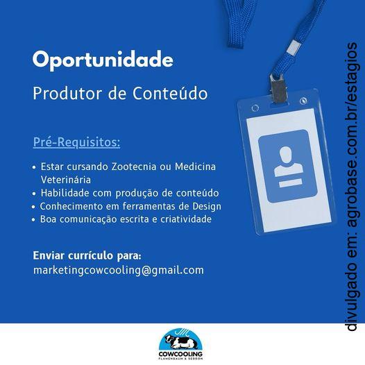 Estágio em produção de conteúdo