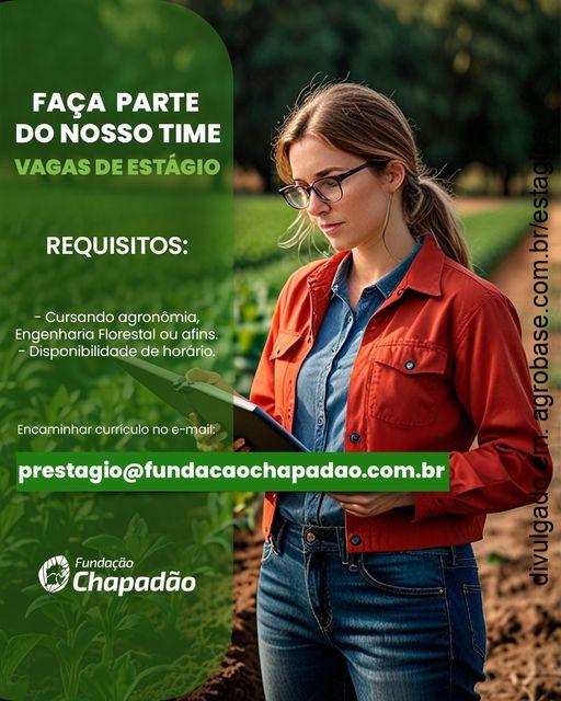 Estágio na Fundação Chapadão – Chapadão do Sul/MS