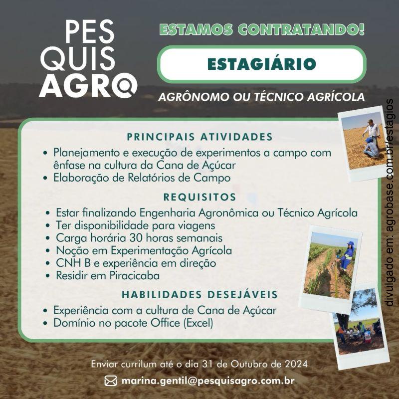 Estagiário experimentação agrícola (foco cana) – Piracicaba/SP