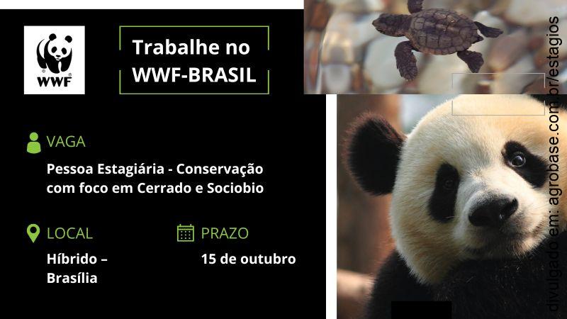 Estágio de conservação (cerrado e sociobio) – Brasília/DF