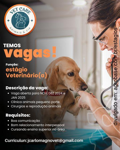 Estágio veterinário(a) – Cambuí/MG