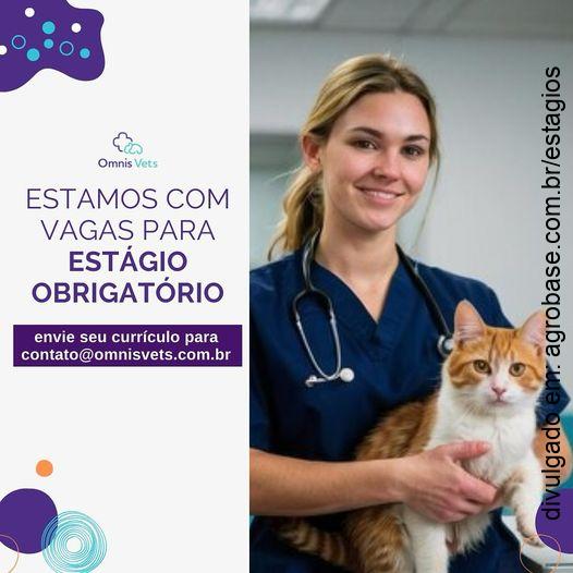 Estágio obrigatório em med. veterinária – São Paulo ou Guarulhos/SP