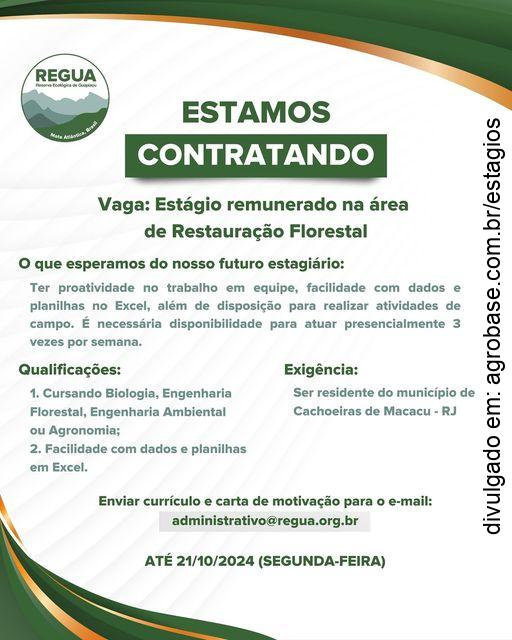 Estágio em restauração florestal – Cachoeiras de Macacu/RJ