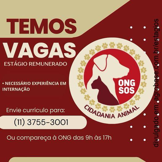 Estágio em internação veterinária – São Caetano do Sul/SP