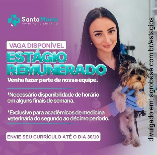 Estágio remunerado med. veterinária – União da Vitória/PR