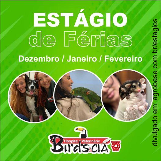 Estágio de férias hospital veterinário – Rio de Janeiro/RJ