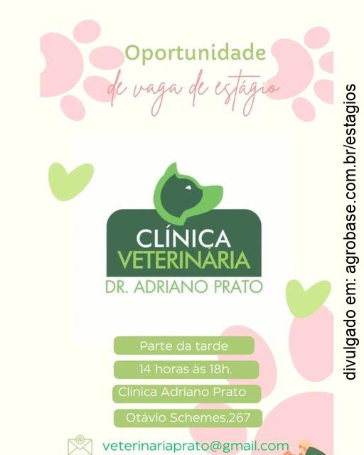 Estágio em medicina veterinária – Gravataí/RS