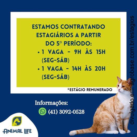 Estágio remunerado clínica veterinária – Curitiba/PR [Bacacheri]