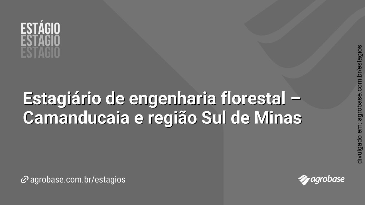 Estagiário de engenharia florestal – Camanducaia e região Sul de Minas