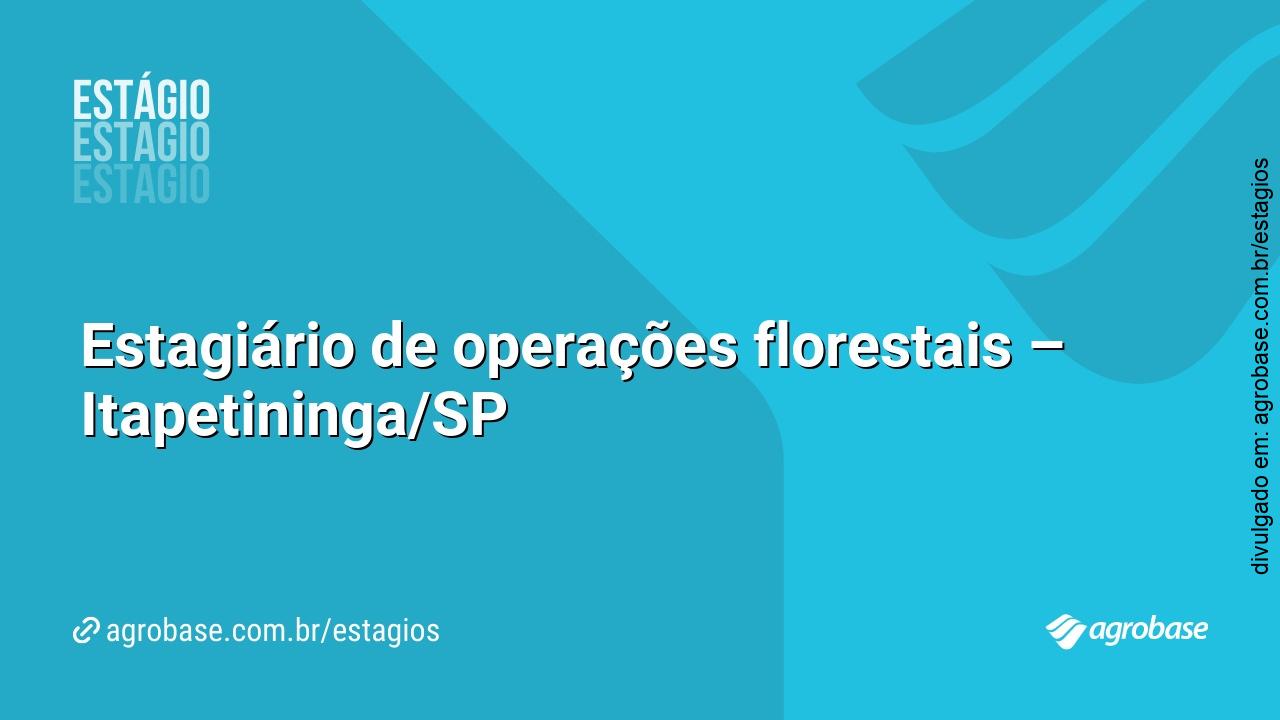 Estagiário de operações florestais – Itapetininga/SP