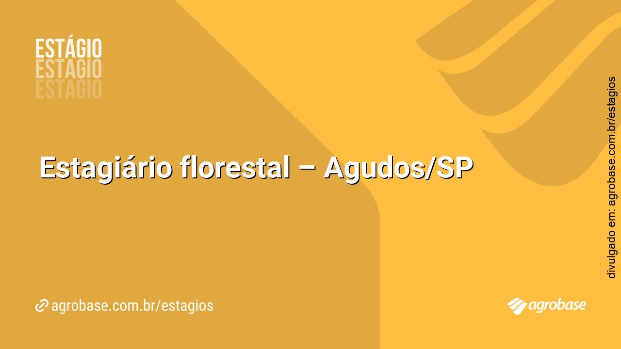 Estagiário florestal – Agudos/SP