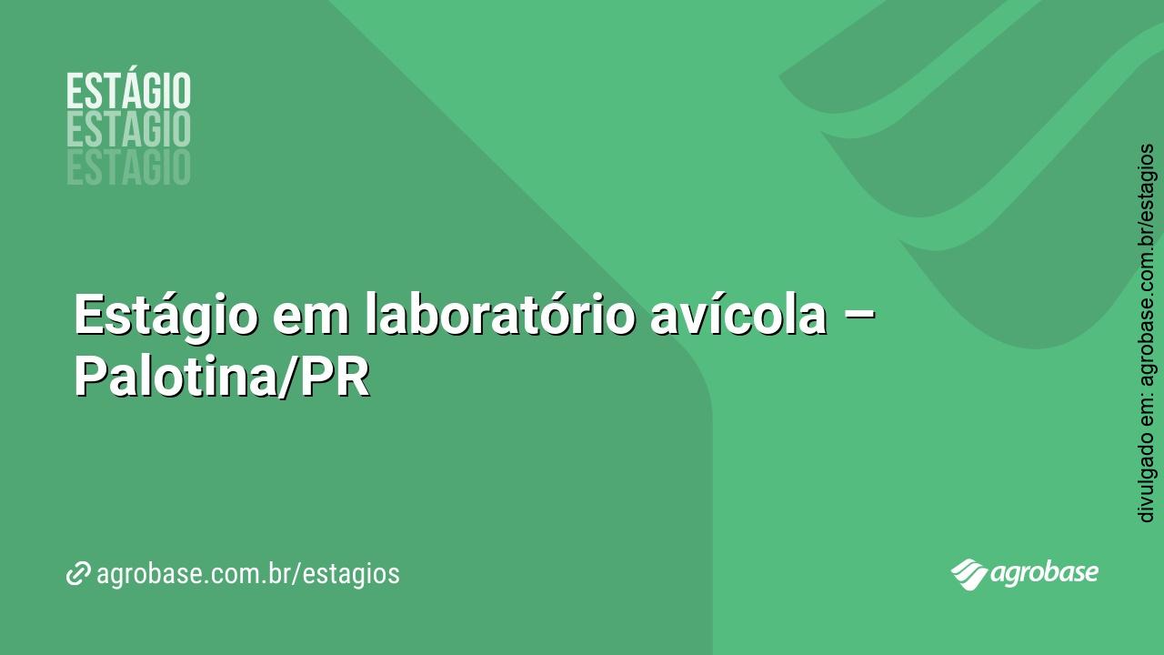 Estágio em laboratório avícola – Palotina/PR