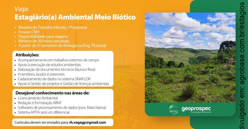 Estagiário ambiental meio biótico – Porto Alegre/RS