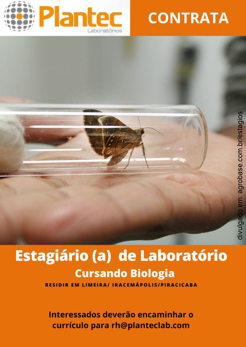 Estagiário de laboratório – Limeira, Iracemápolis ou Piracicaba/SP