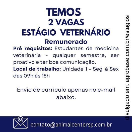 02 vagas estágio em medicina veterinária – São Paulo/SP