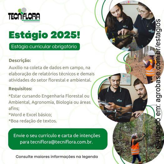 Estágio curricular nas áreas ambiental e florestal – Caxias do Sul/RS
