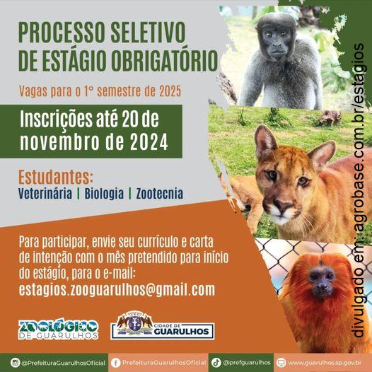 Estágio curricular obrigatório em zoológico – Guarulhos/SP