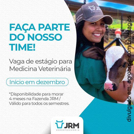 Estágio em medicina veterinária – Bahia
