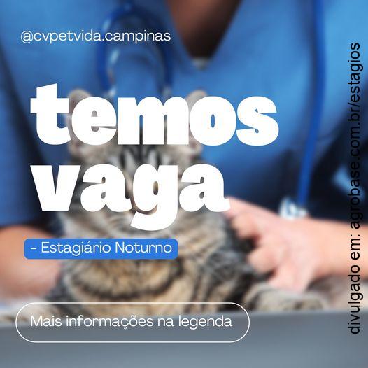 Estágio em medicina veterinária – Campinas/SP