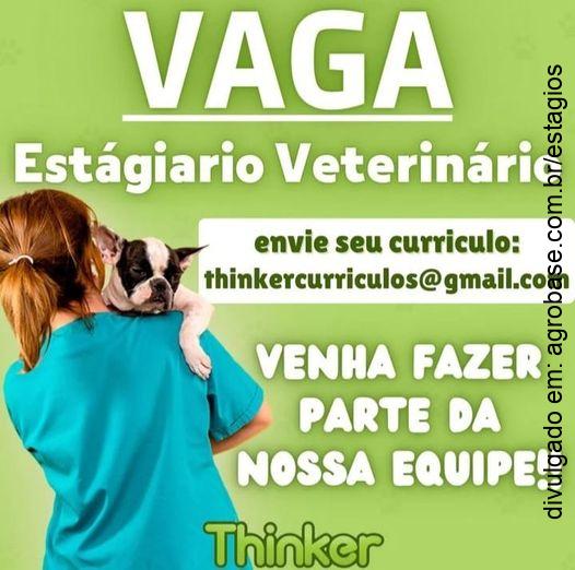 Estagiário veterinário – Mogi das Cruzes/SP