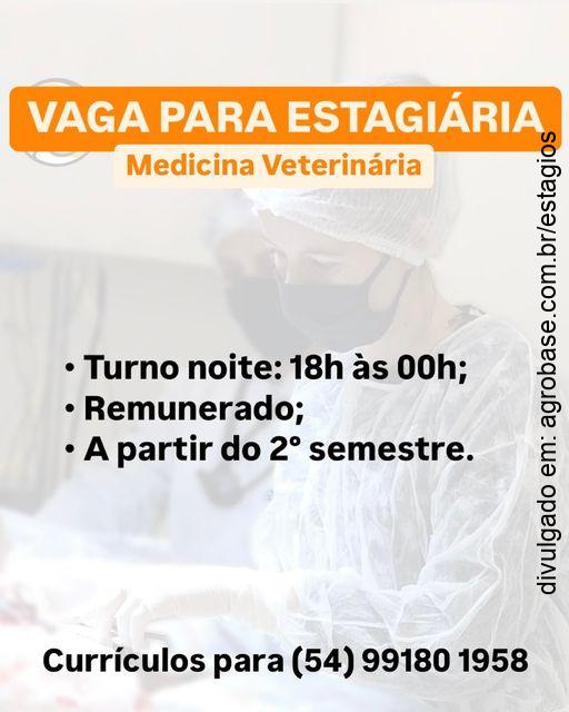 Estágio remunerado medicina veterinária – Caxias do Sul/RS