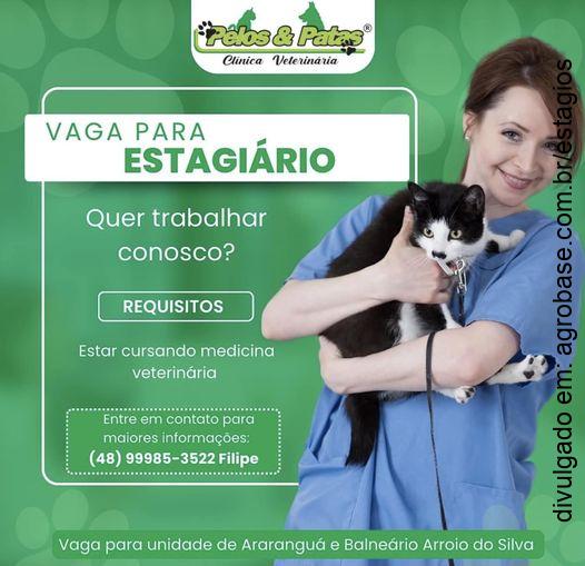 Estagiário clínica veterinária – Araranguá/SC