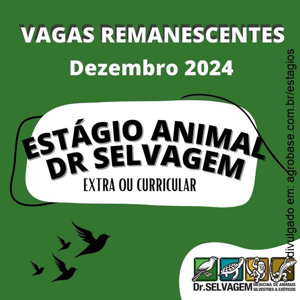 Estágio animail Dr. Selvagem – Joinville/SC