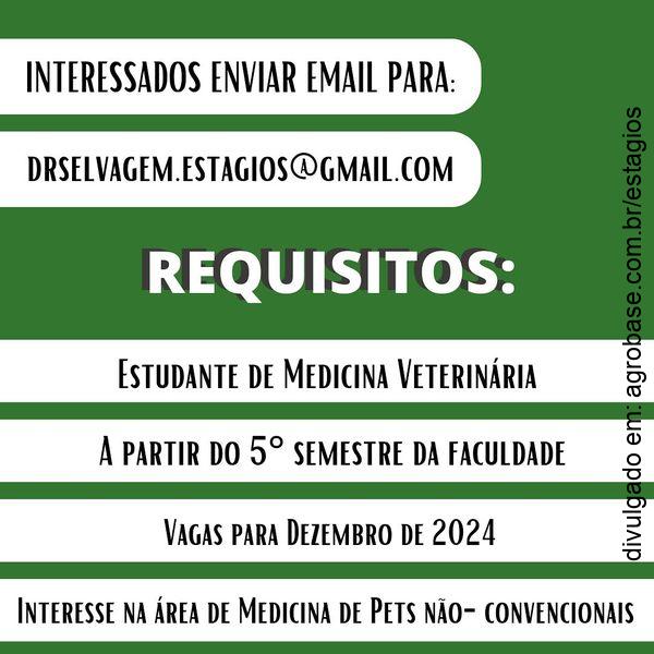 Estágio animail Dr. Selvagem - Joinville/SC 10 467452439 18358955212137536 3970702419539835884 n