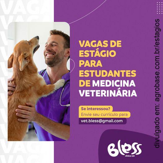 Estágio estudantes de medicina veterinária – Toledo/PR