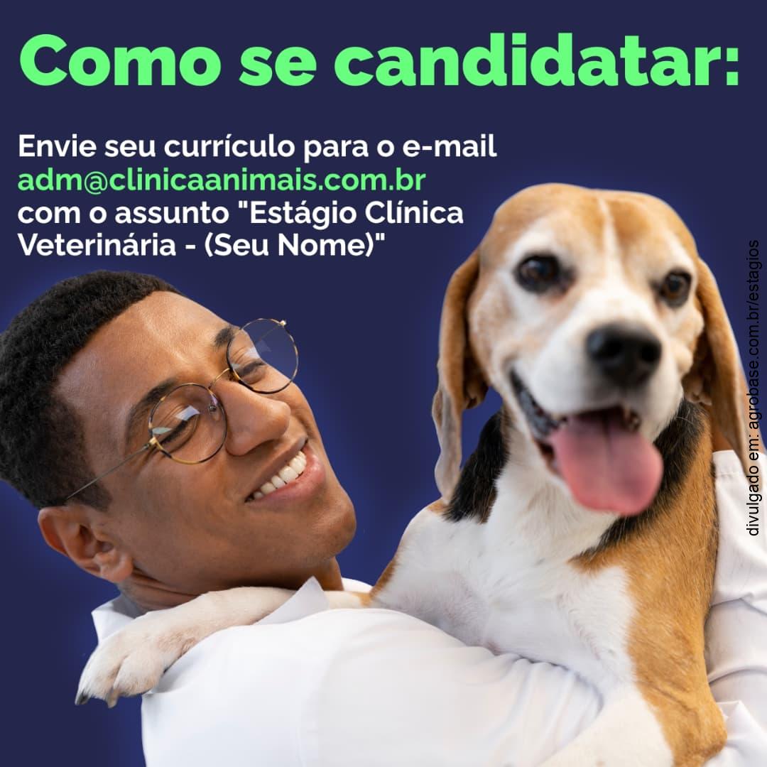 467641632 1114394404020303 4882334015306901751 n 2