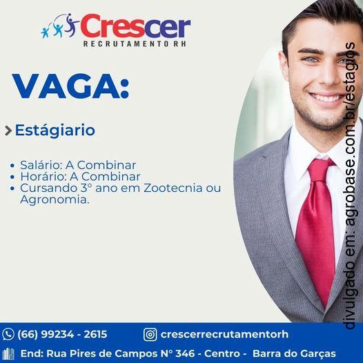 Estagiário – Barra do Garças/MT