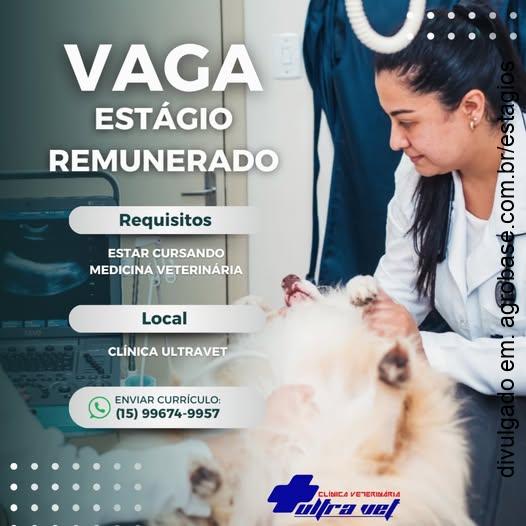 Estágio em medicina veterinária – Itapeva/SP